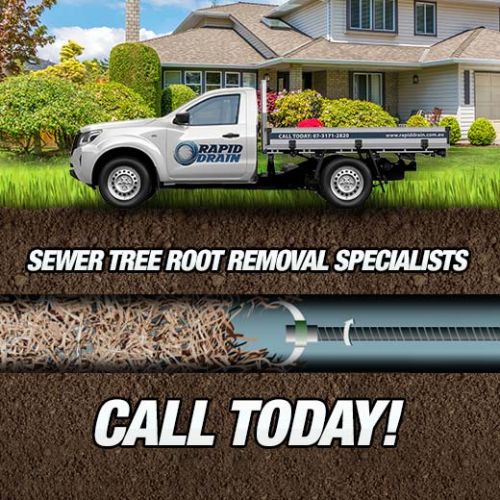 Sewer Tree Root Removal Specialists In Kippa-Ring